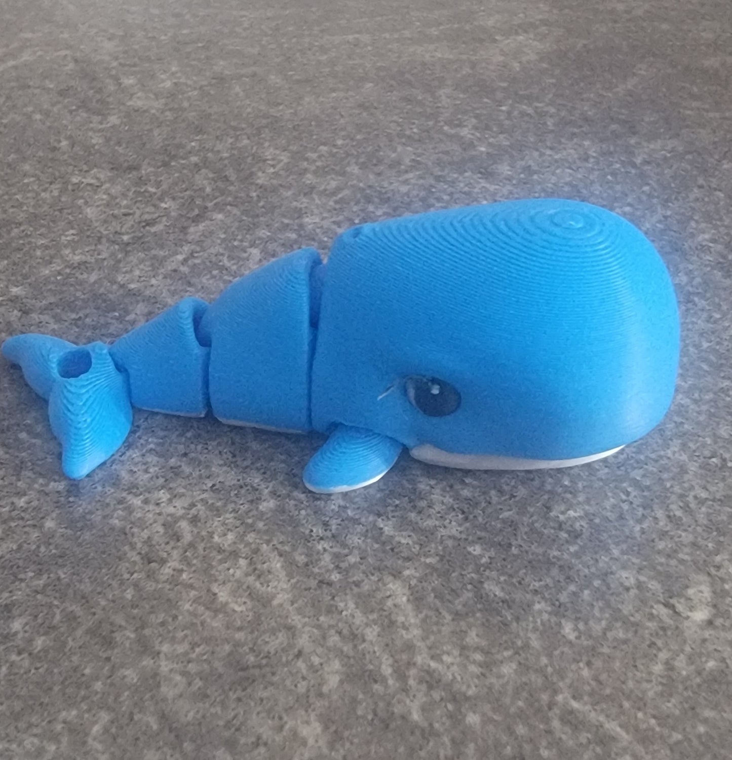 Wiggly Whale