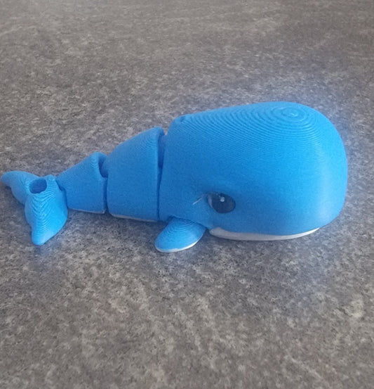 Wiggly Whale